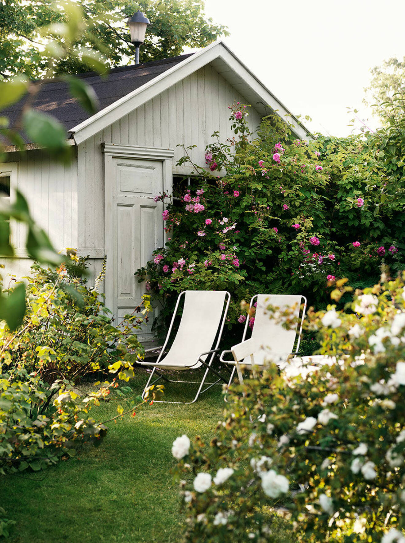 Rosengarden_garden_tradgard_rosor_roses_utemobler_outdoor_furniture_Foto_Petra_Bindel