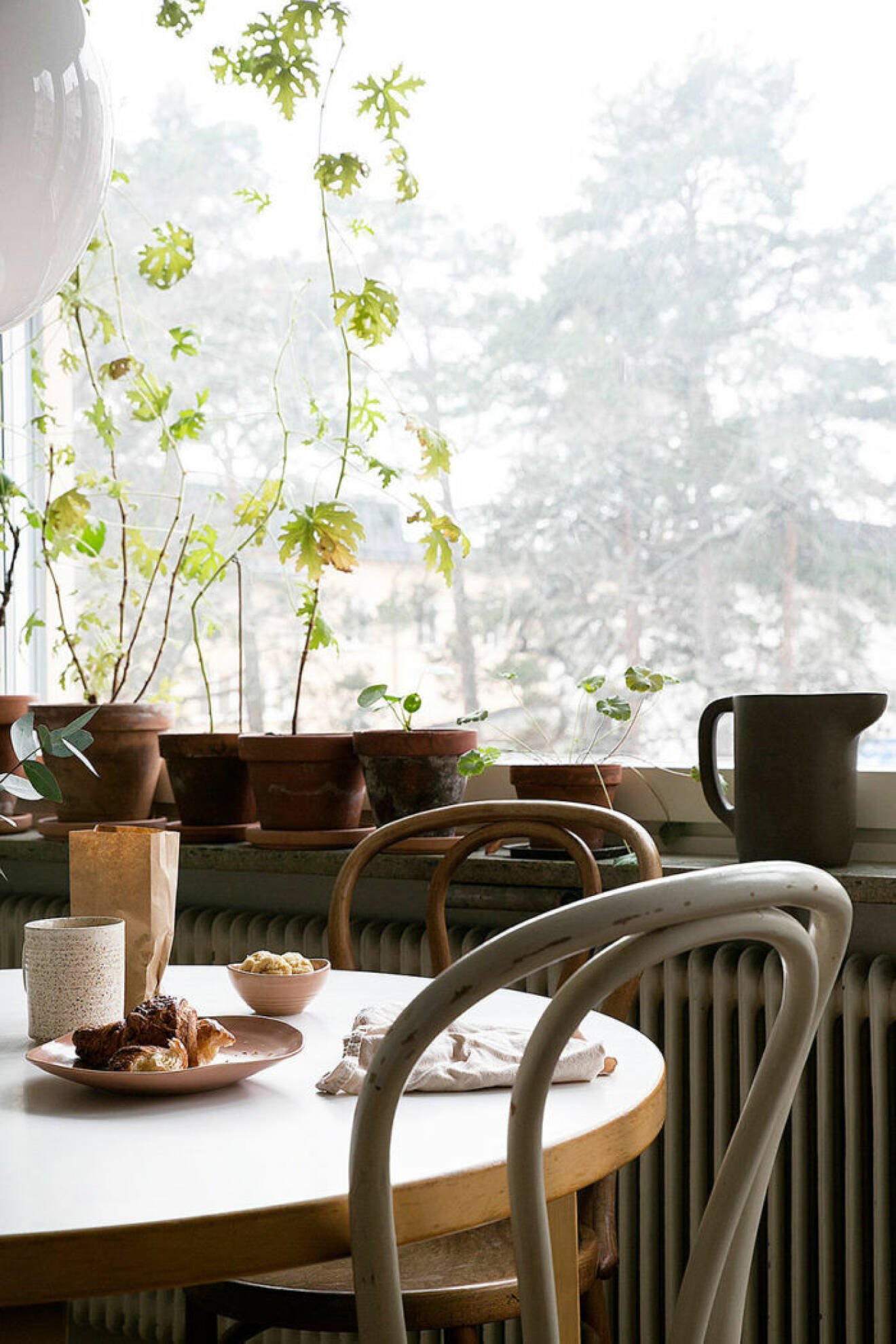 Compact living inred med gröna växter i fönstret
