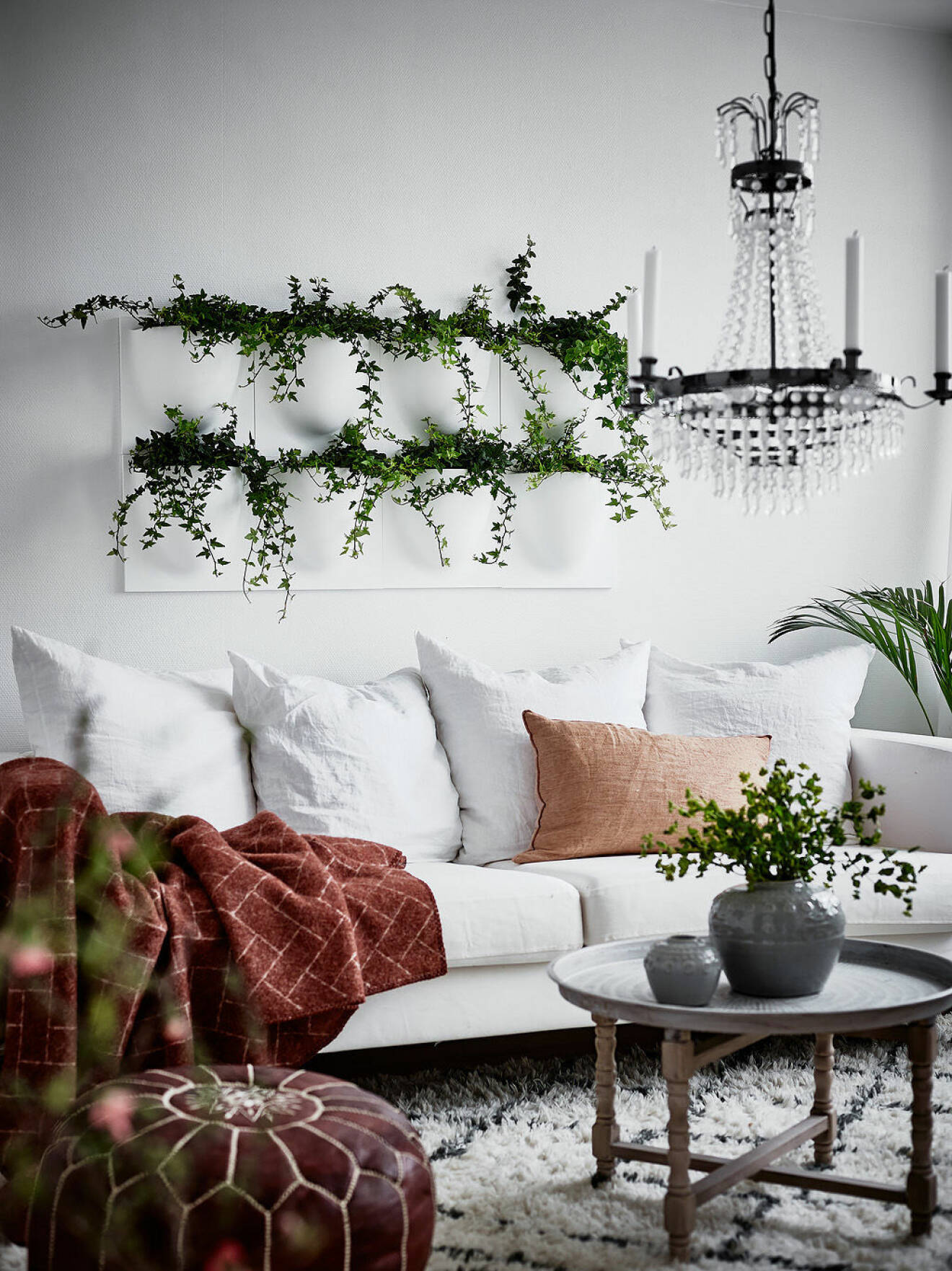 Växter som hänger på väggarna och kompletterar heminredningen