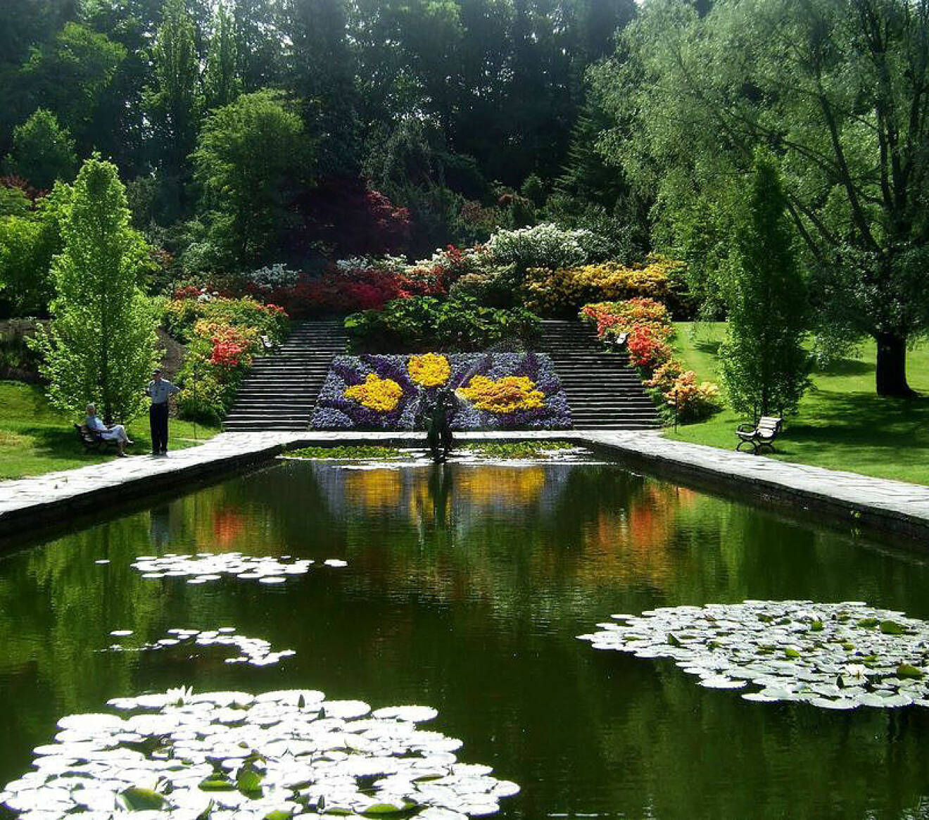 Damm i Botaniska trädgården i Göteborg