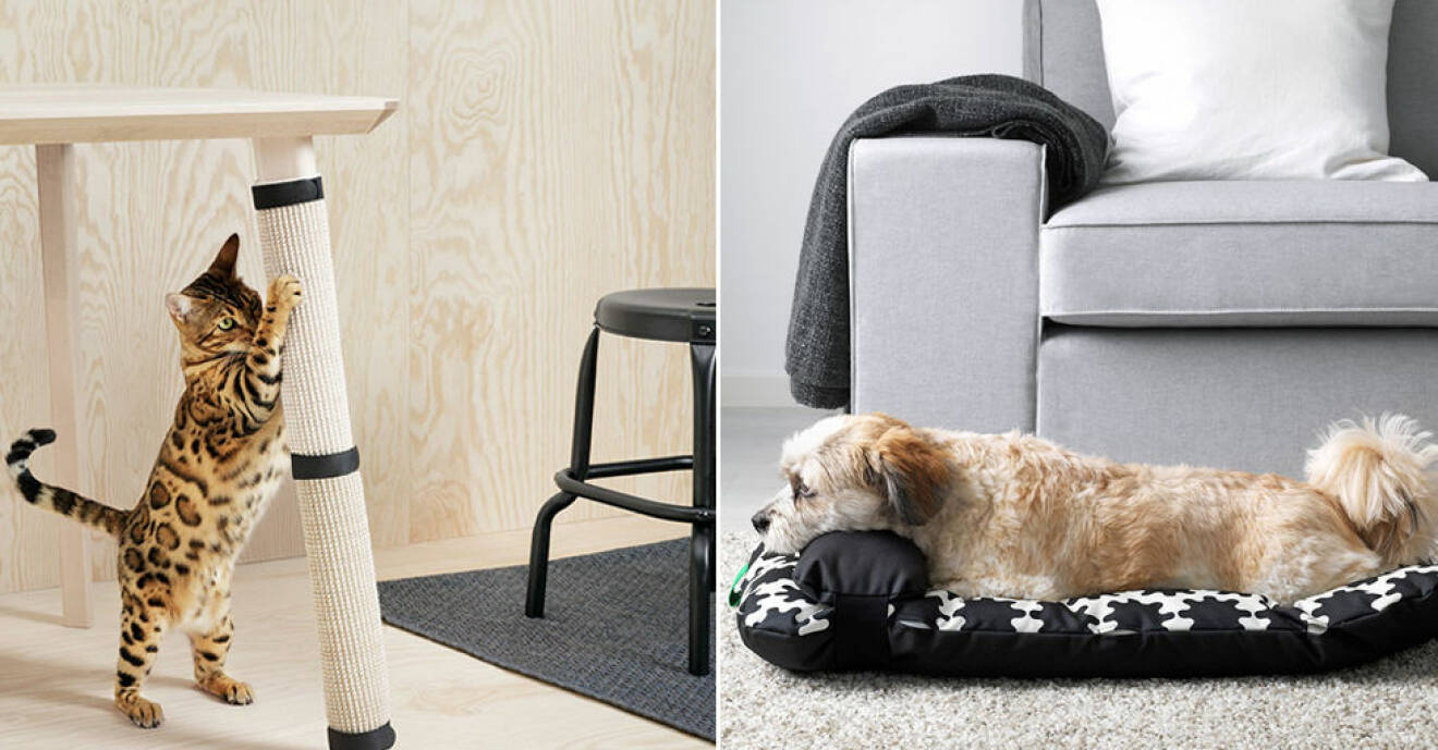 Nu lanserar Ikea en kollektion för djur.