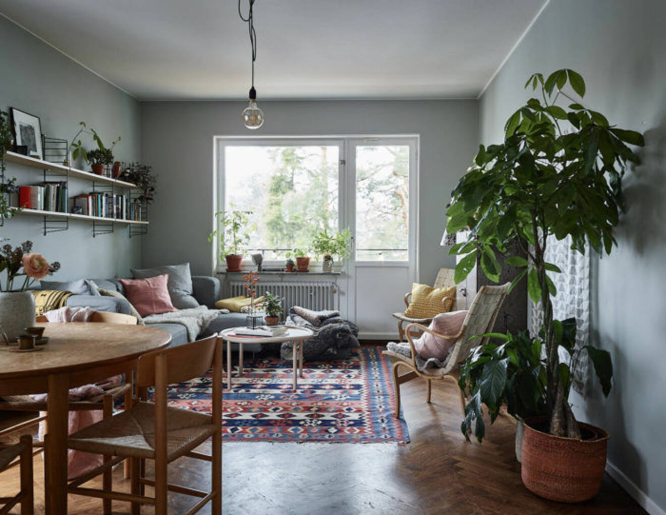 Vardagsrum med gröna växter, mönstrad matta och string-hyllor. 