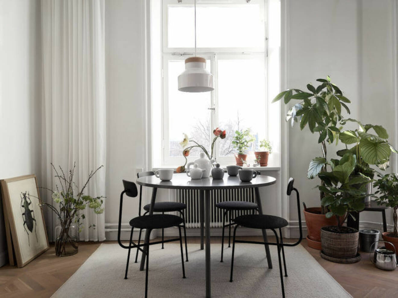 Ljust kök på Södermalm, runt bord och Afteroom-stolar, växthörn och tavlor. 