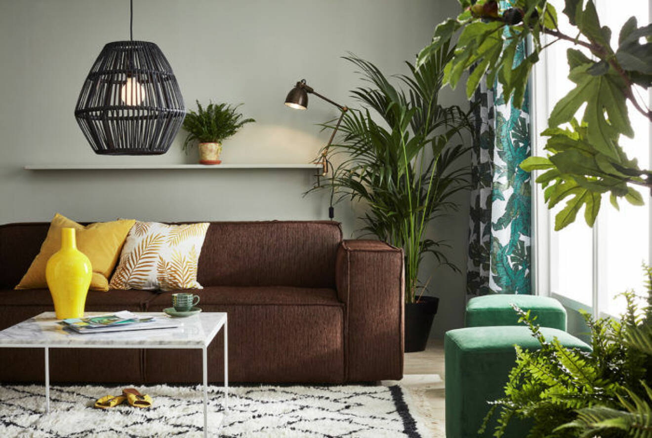 Brun soffa och gula kuddar. Gröna växter, palm, fikon och ormbunke. Jotex vår och sommar 2018. 