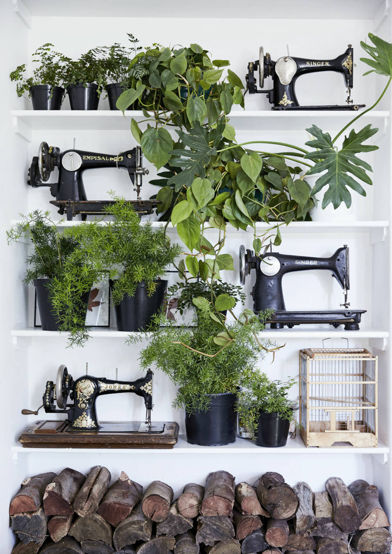 Växter som inredningsdetalj, här bland en samling av gamla symaskiner