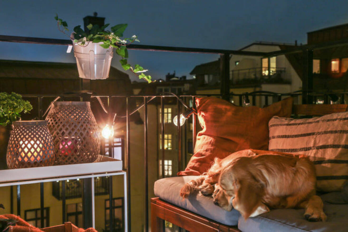 Scandinavian balcony night time with stringlights and plants. 