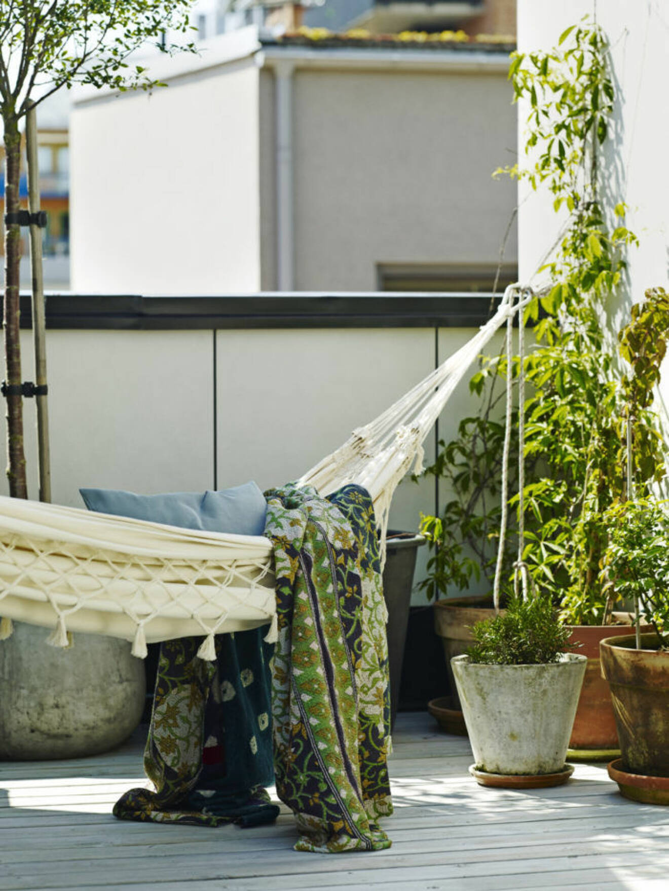 Hängmatta på balkong med växter runt