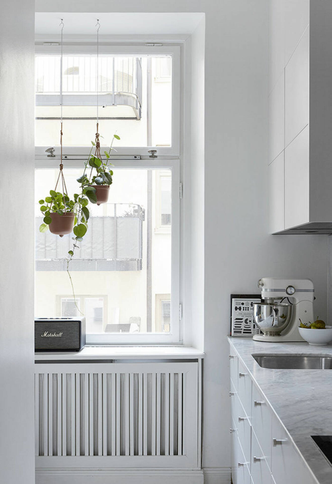 Häng upp växterna i fönstret – ett smart compact living-knep