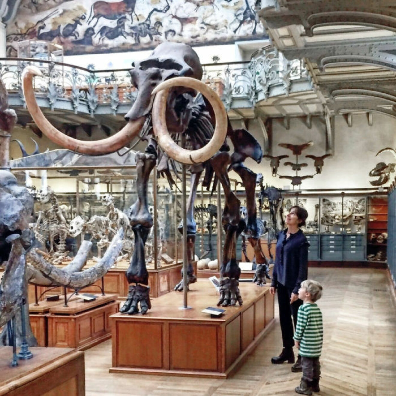 Paleontologiska museet i Paris