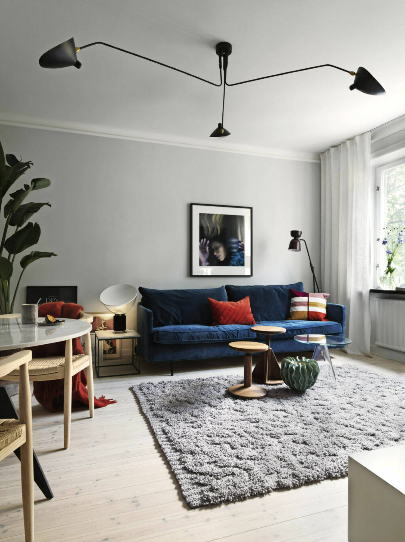 Mörkblå soffa, stora växter och stor matta i vardagsrummet