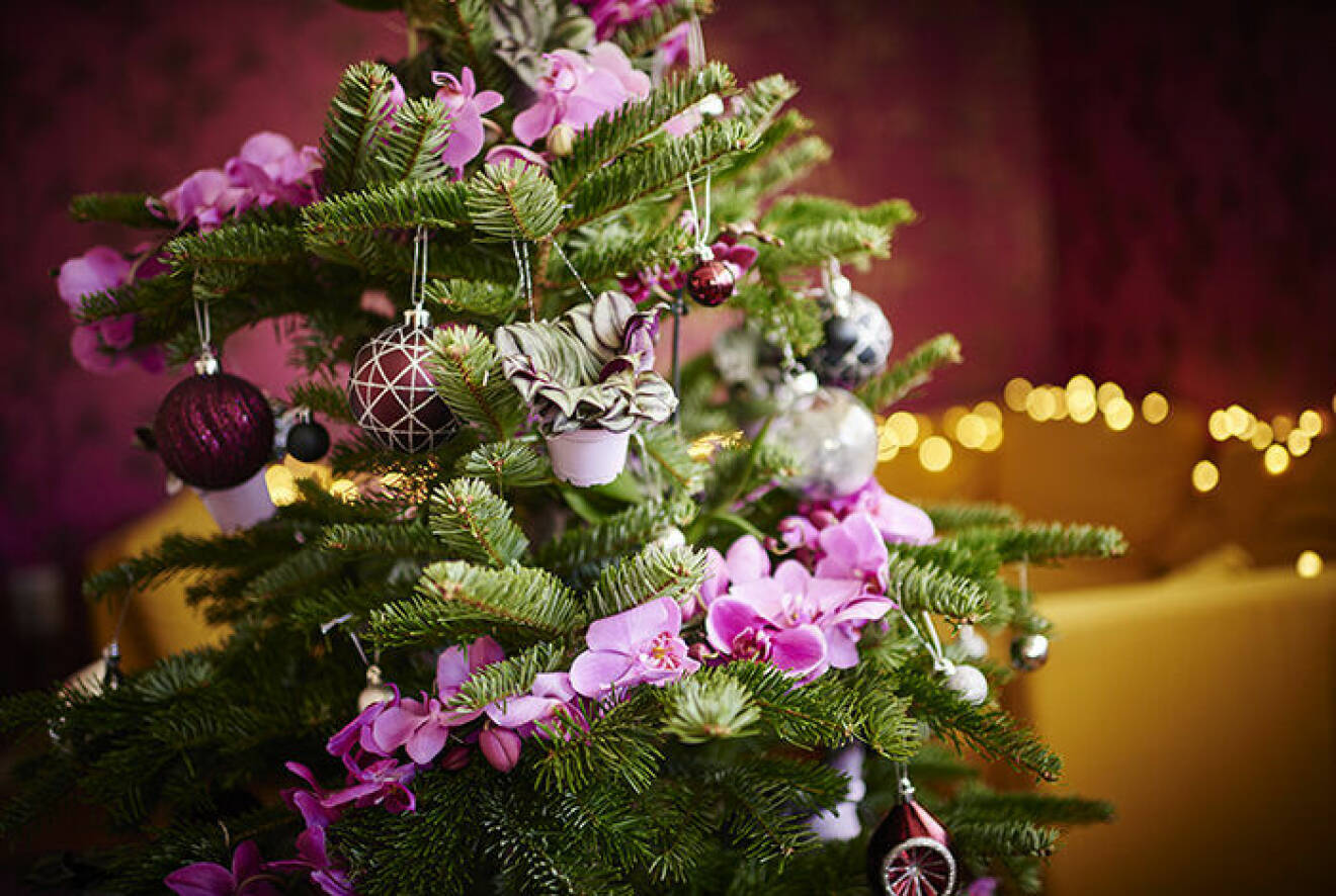 Allt fler vill dekorera med växter och blommor i julgranen.