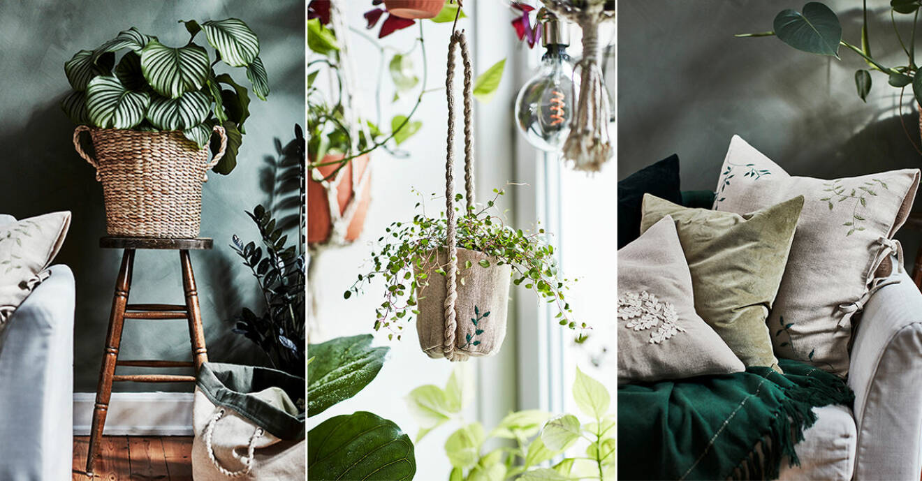 Ikeas kollektion för plantering och odling – botanisk