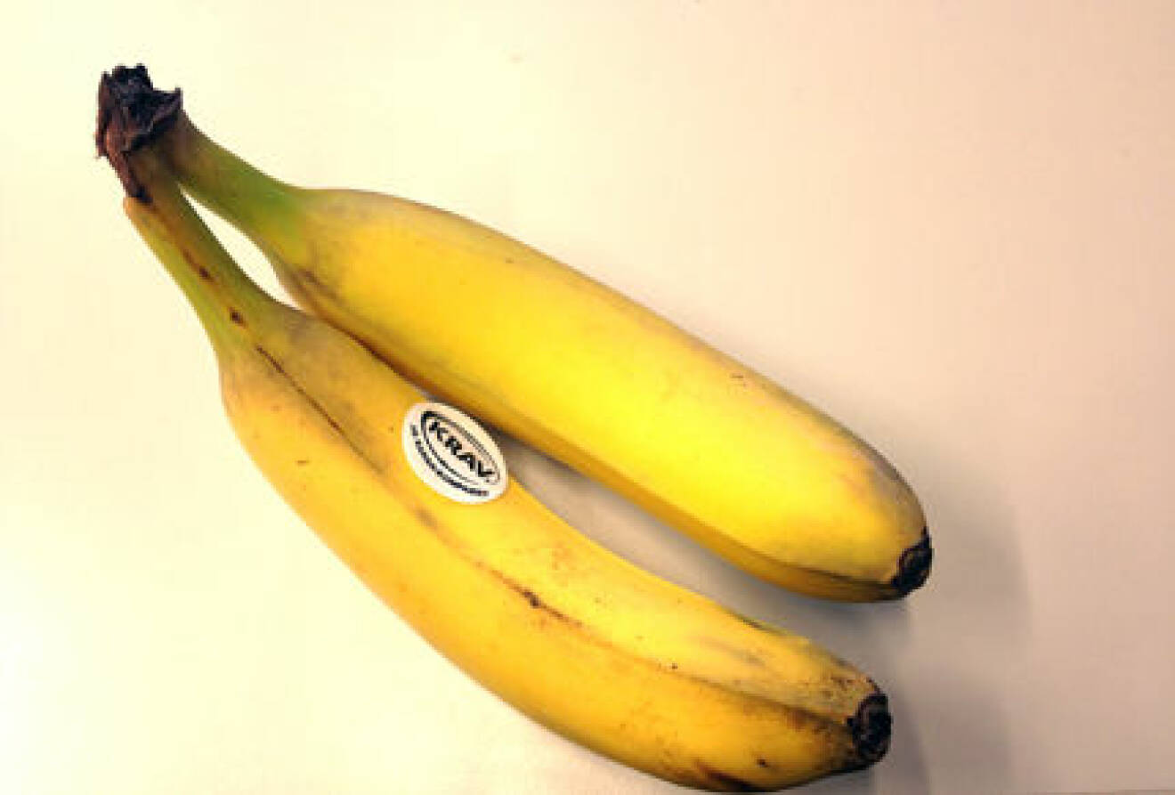 ekologiska bananer