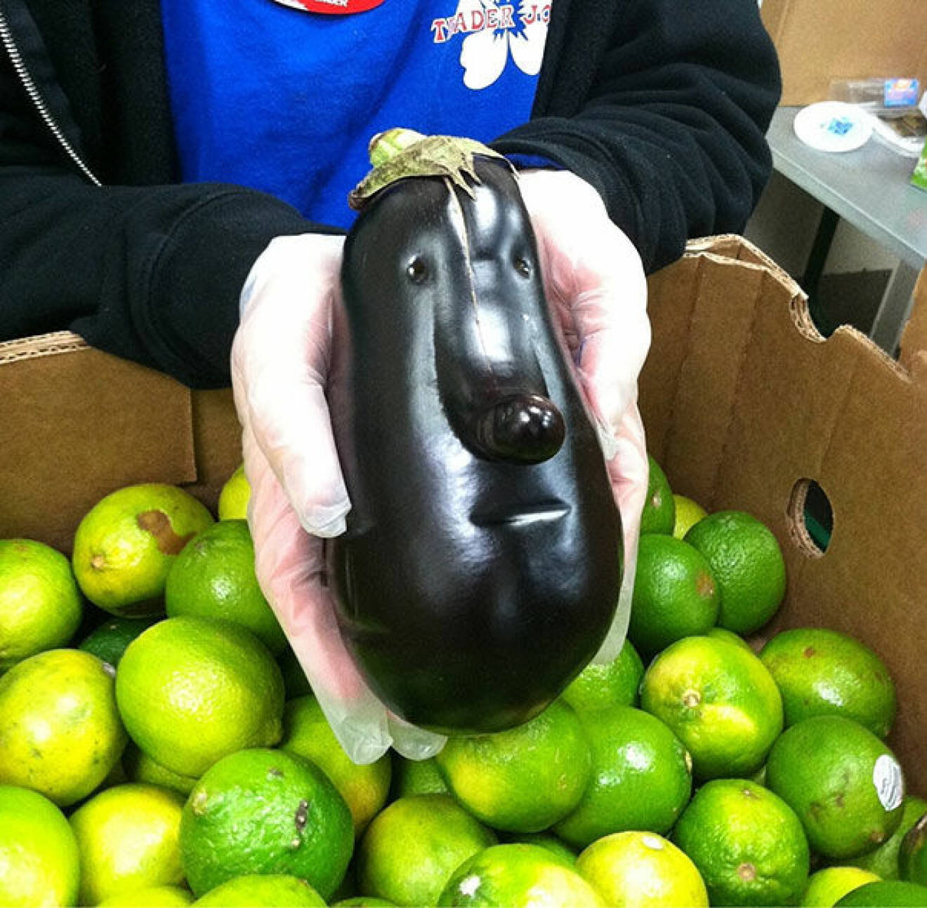 En aubergine med ett ansikte.