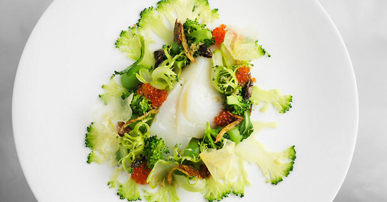 Framtidens maträtt med torsk, broccoli – och gräshoppor!