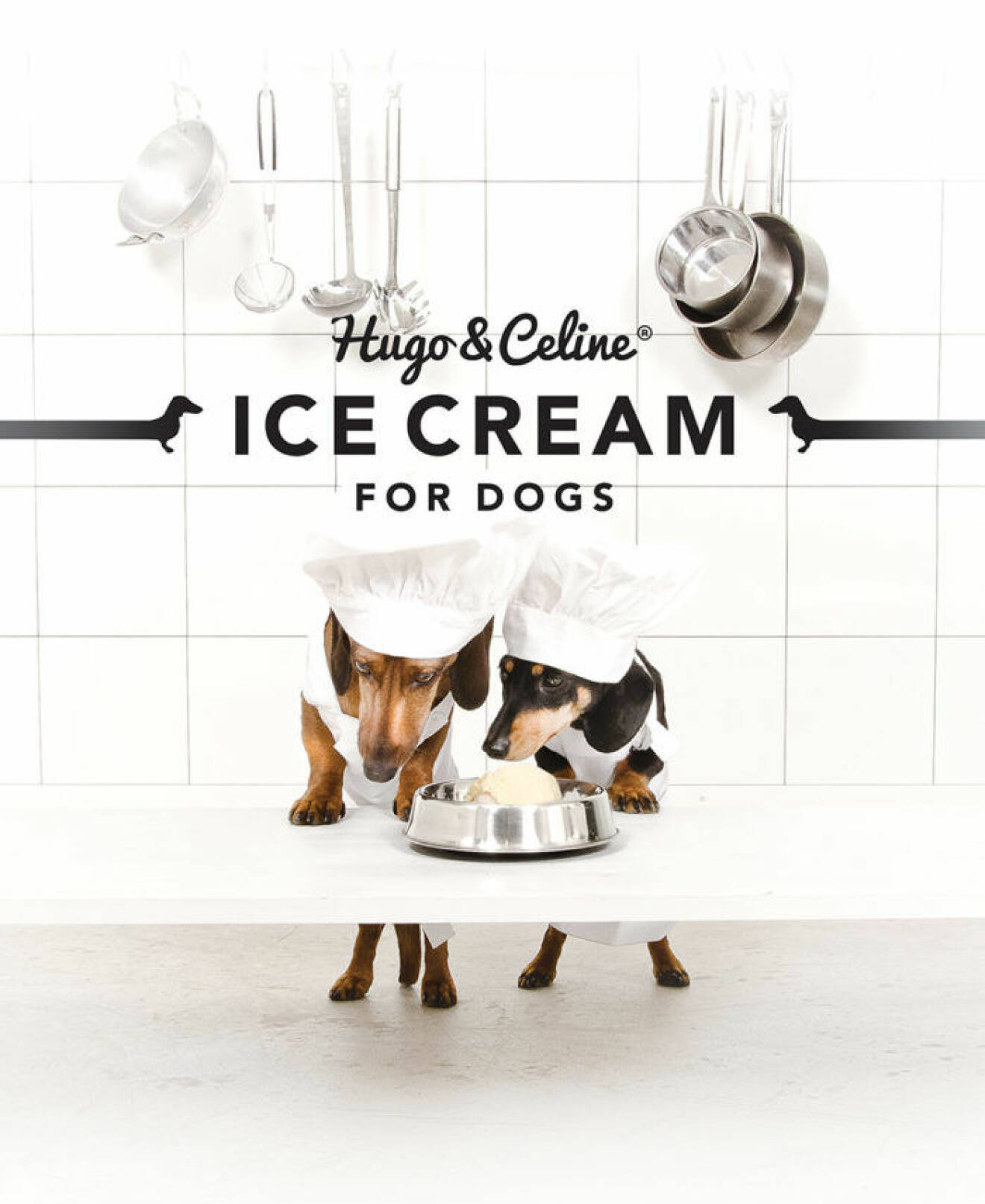 Hugo & Celine säljer glass för hundar. Foto: Helene Stevenberg 