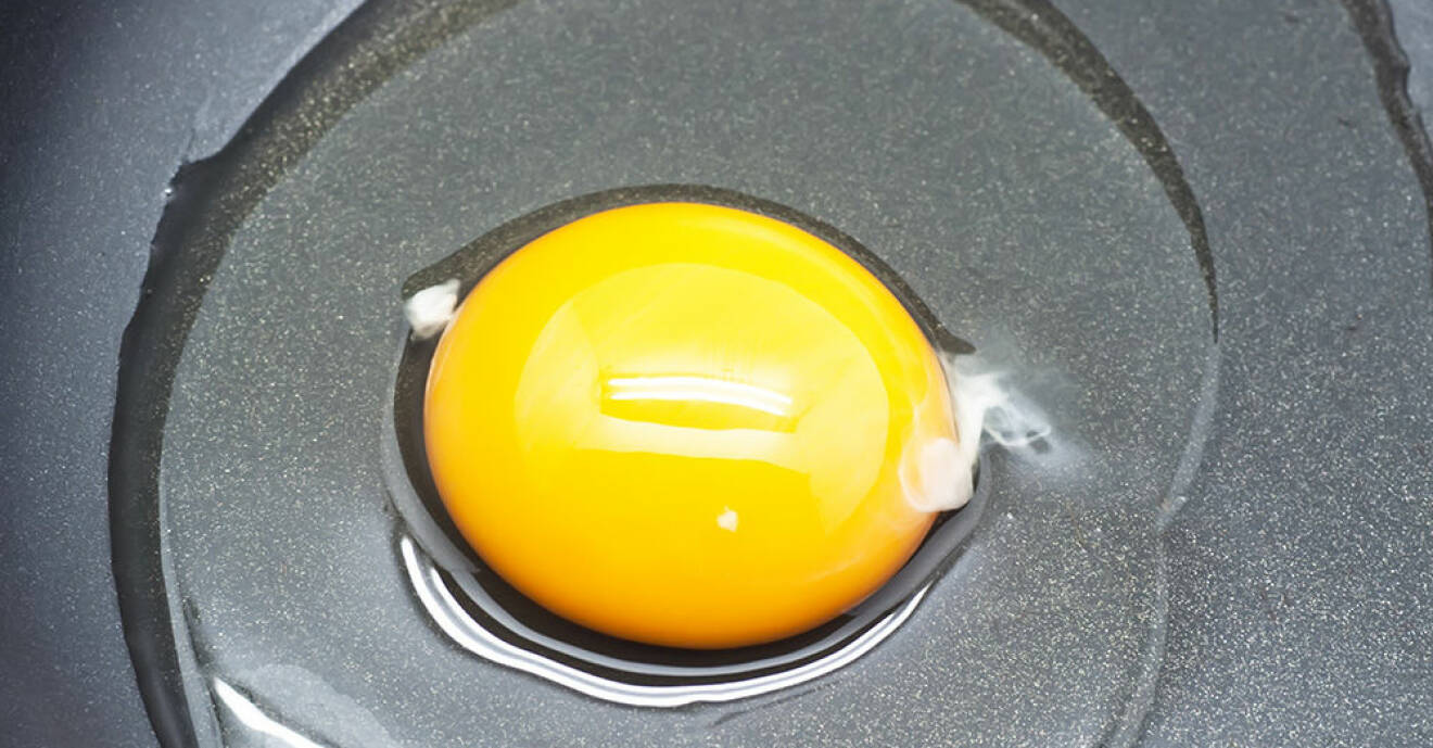 Ett ägg har två stycken strängar eller snoddar.