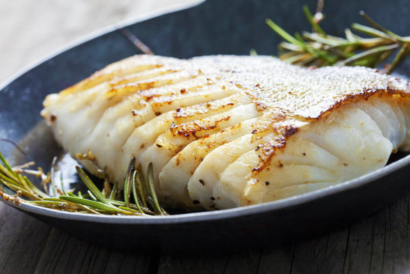 Skrei är en norsk torskfisk. Foto: Shutterstock
