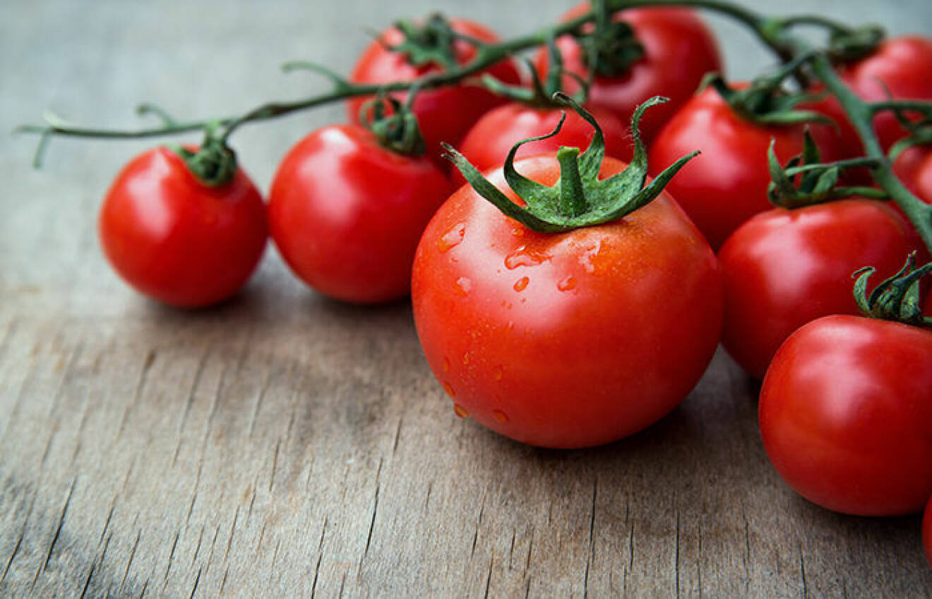 Tomater. Foto: IBL