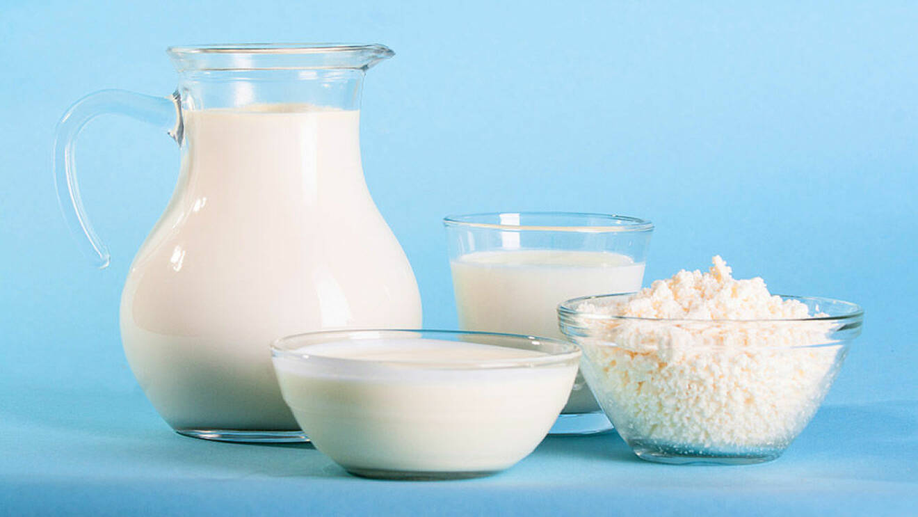 Perfect Day Foods lanserar vegansk mjölk. Foto: IBL
