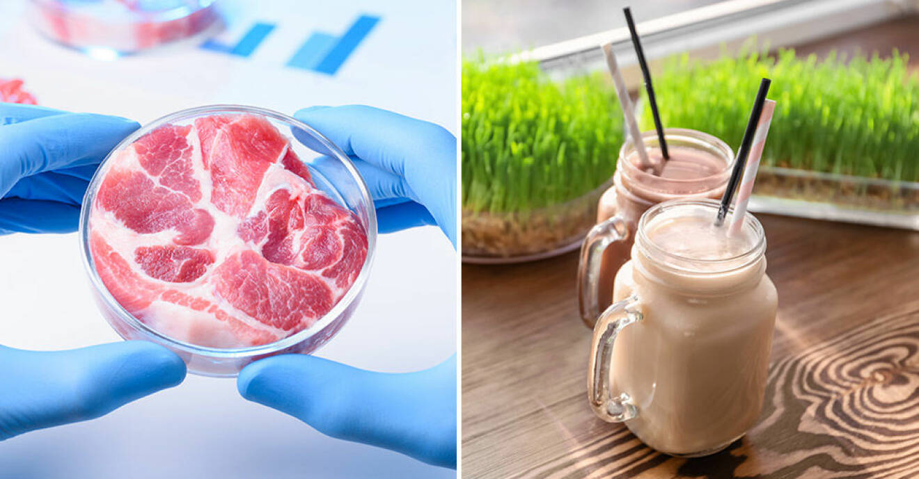 Odlat kött och grästprotein är framtiden.