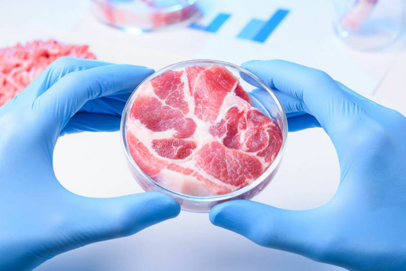 Är laboratorieodlat kött framtiden?