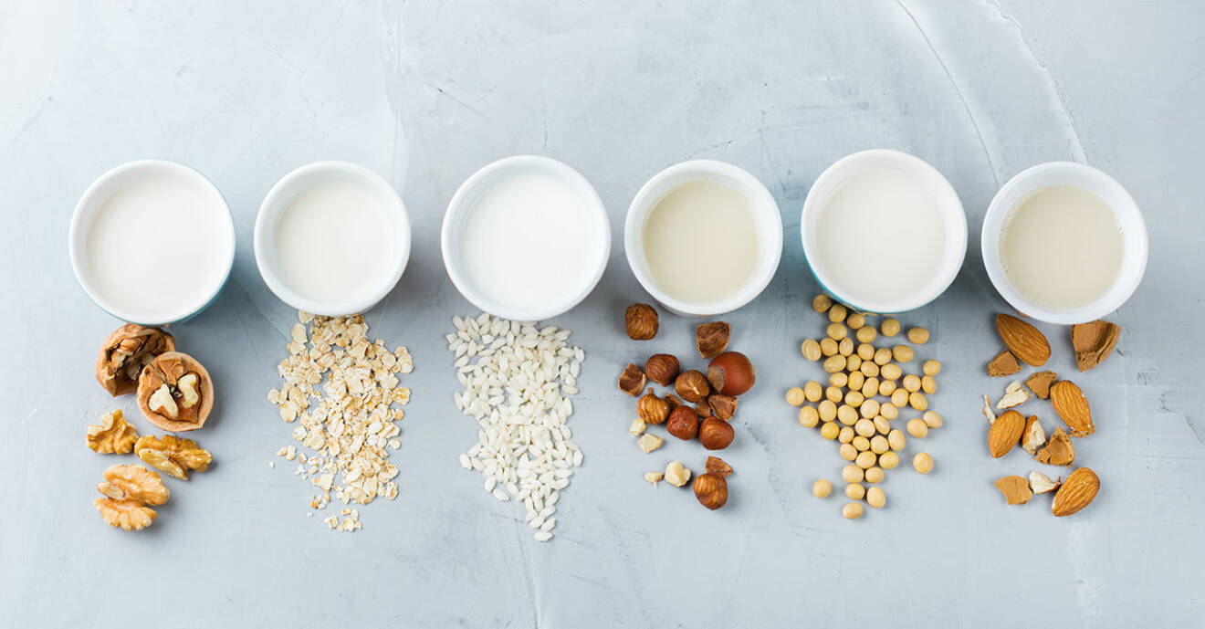 Växtbaserad mjölk – 5 grundrecept
