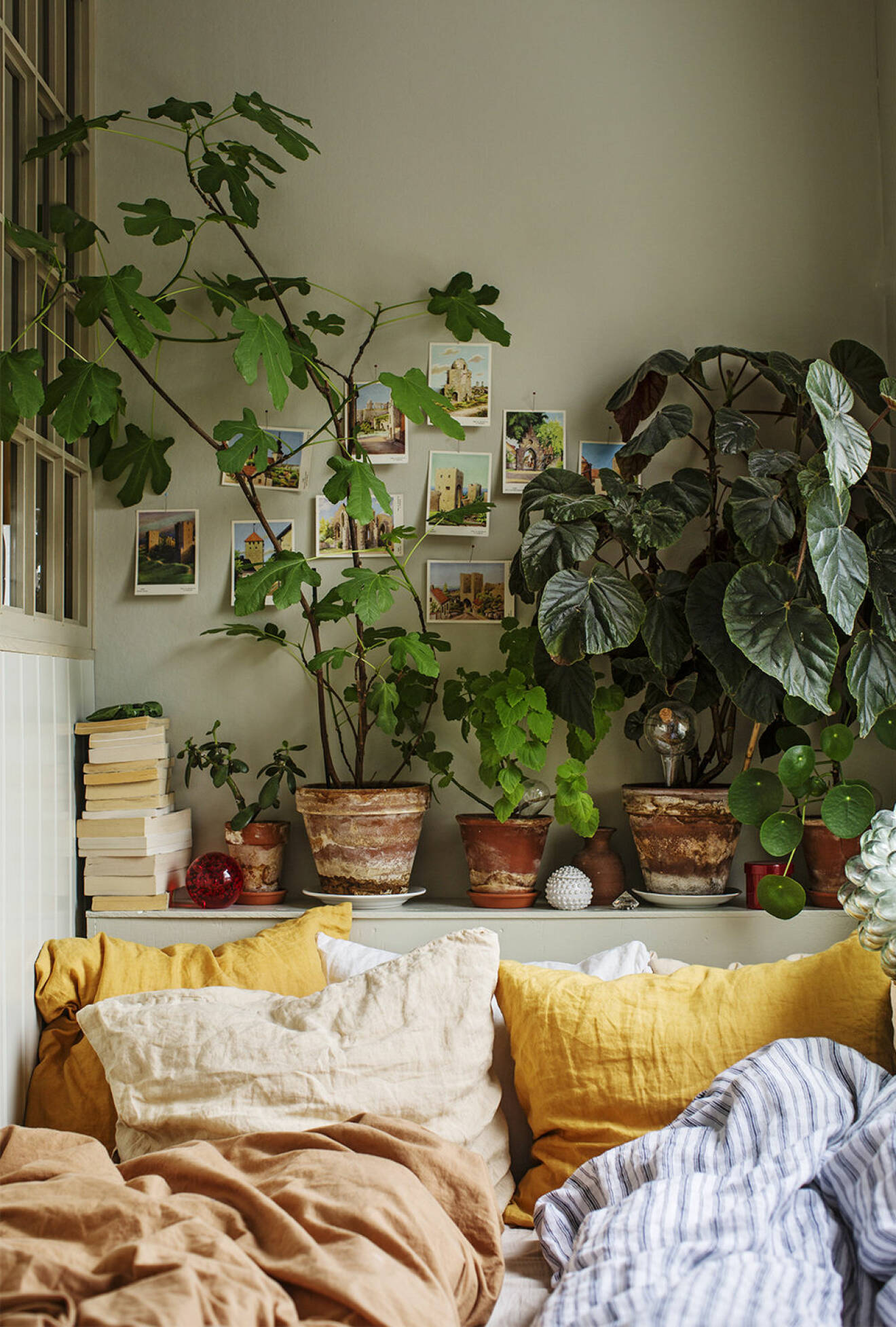 Mysig sovrum med växter och grön vägg 