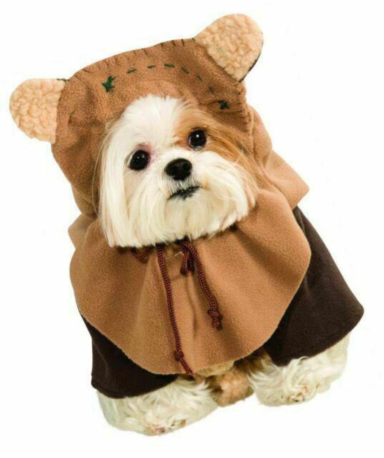 Ewok-kostym till din hund halloween