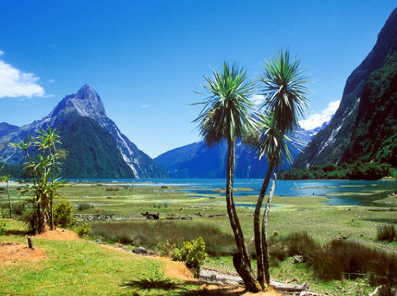Vacker vy med havet och bergen i Nya Zeeland.