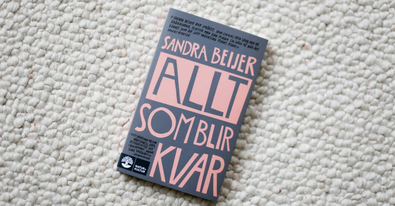 Sandre Beijers bok Allt som blir kvar