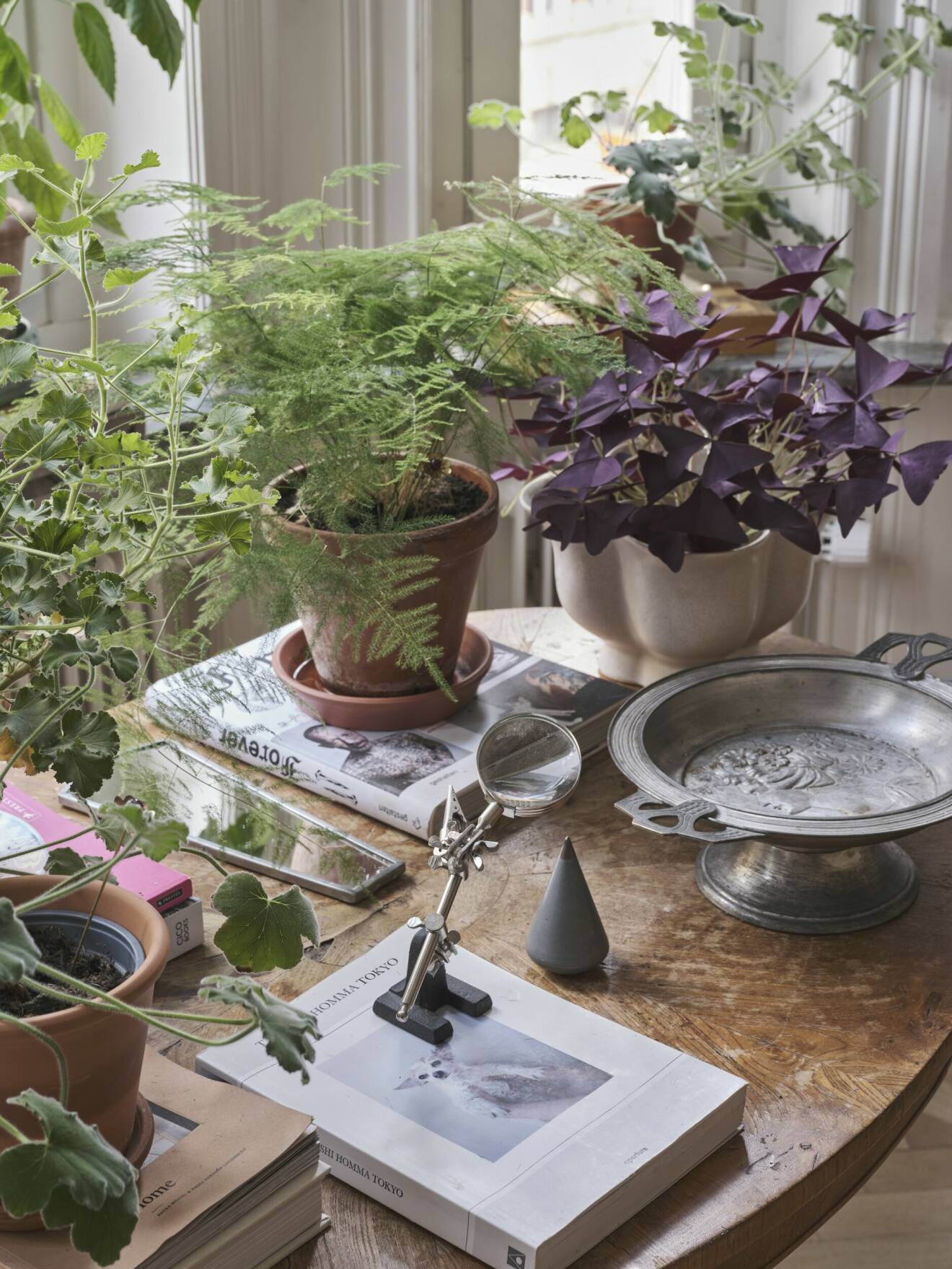 Hemma hos Sofia Wood i Norrköping, växter ger liv åt sovrummet.
