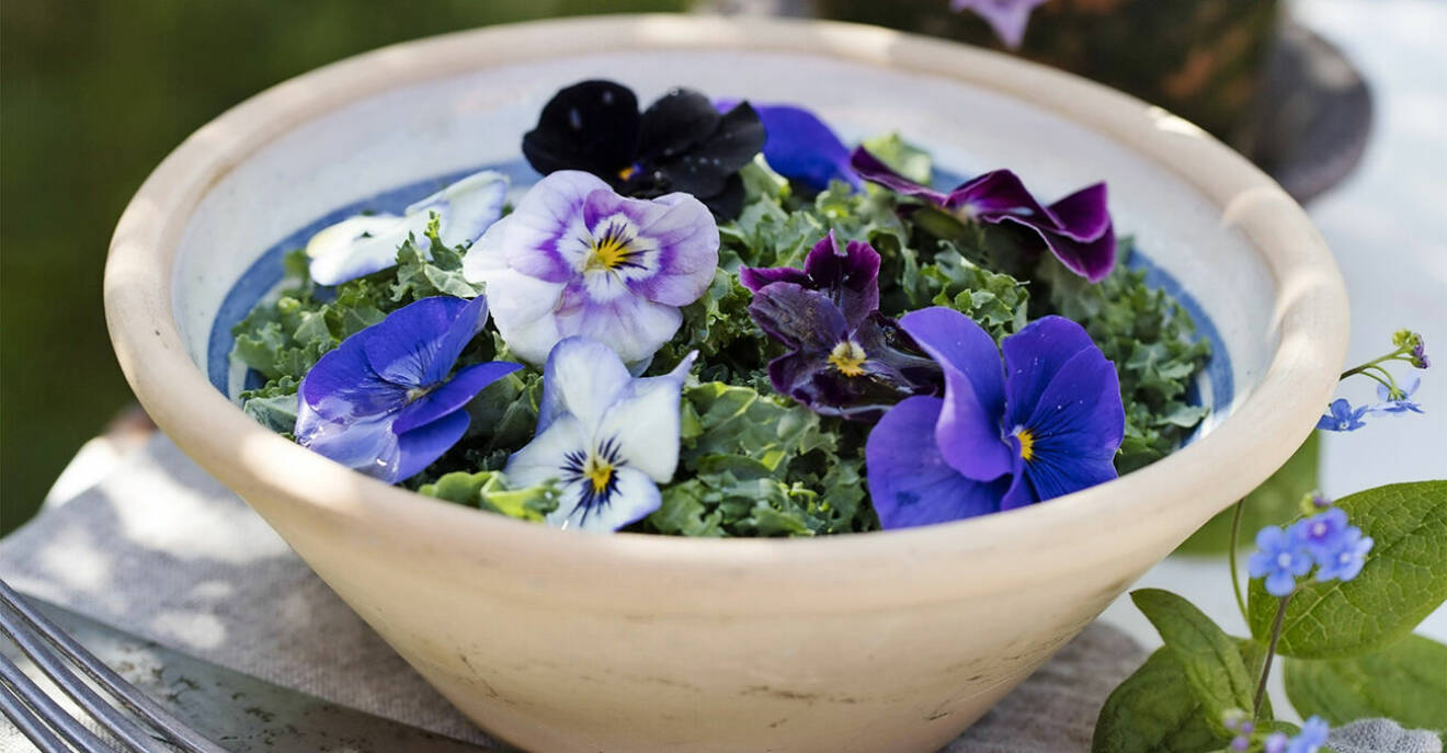 Ätbara blommor – i maten och i trädgården