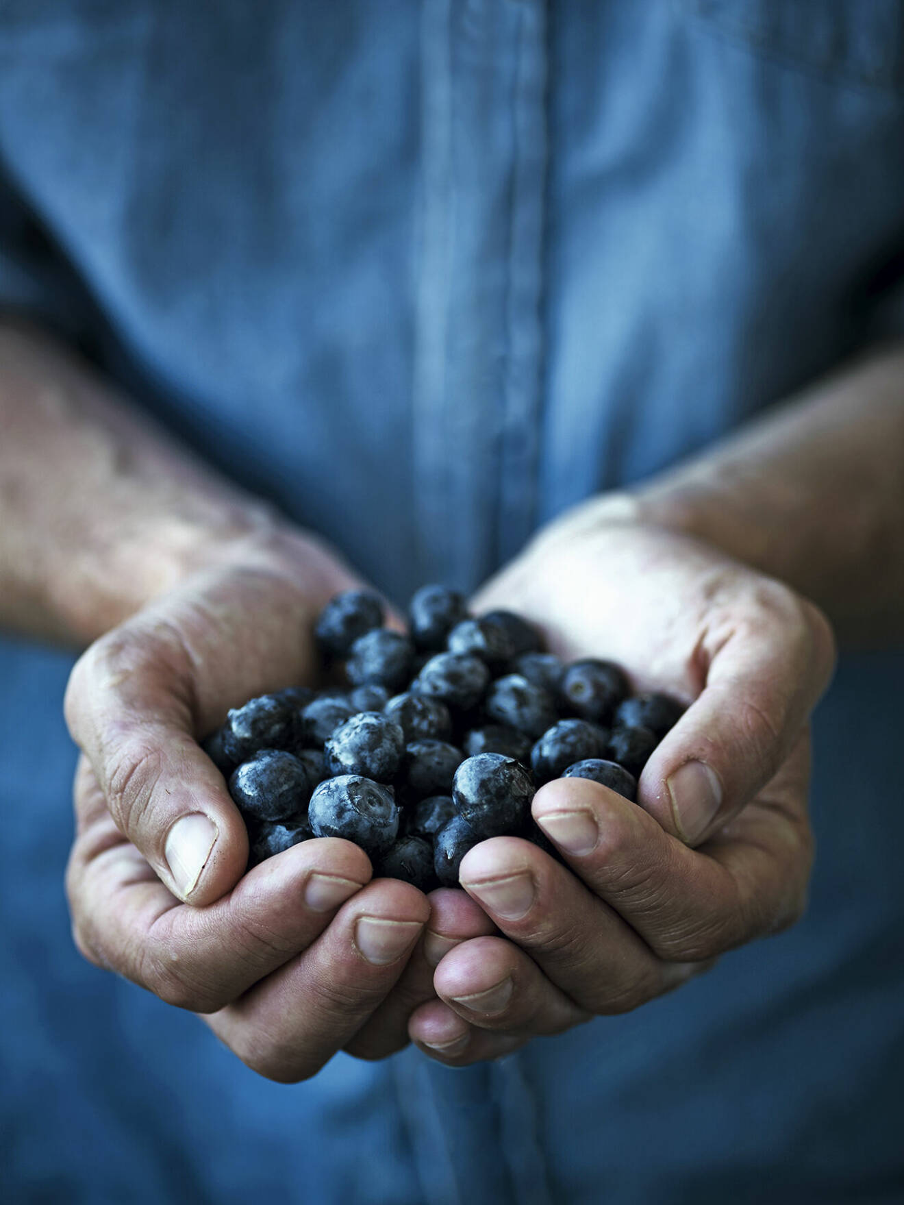 I dag produceras det alldeles utmärkta, torra, rödvinsliknande bärviner på blåbär.