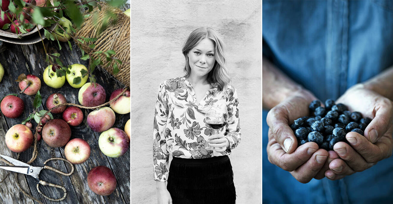 Dryckesexperten Maya Samuelsson trendspanar på frukt- och bärviner