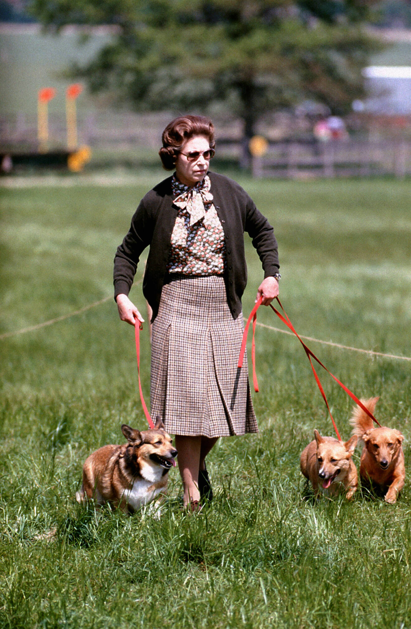 Drottning Elizabeth rastar sina hundar