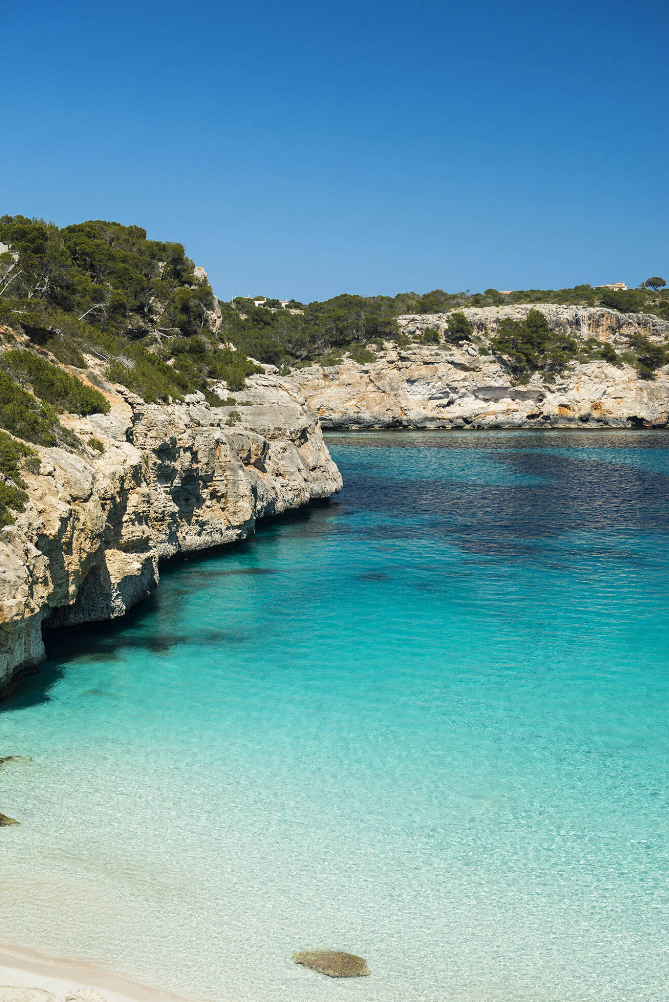 Mallorca är en ö som har allt.