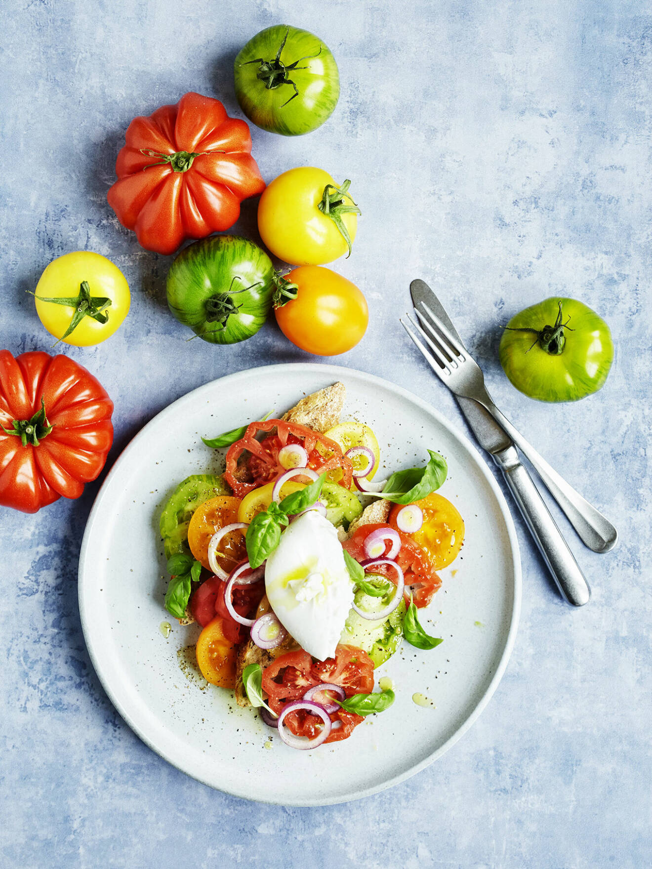 Har du odlat egna tomater så är det ett ypperligt tillfälle att bjuda på panzanella med burrata