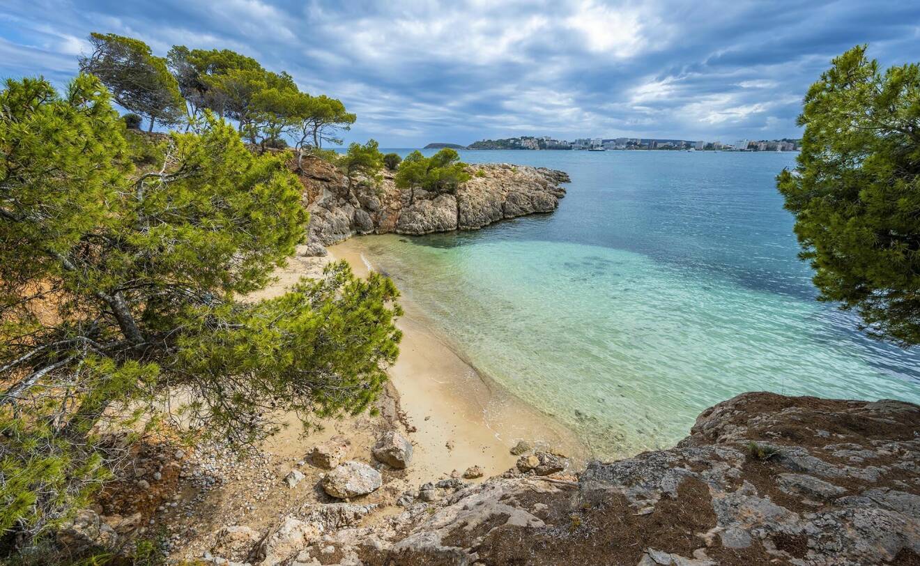 Med närliggande stränder, turkosblått hav och 300 soldagar om året är Palma allt du kan drömma om.