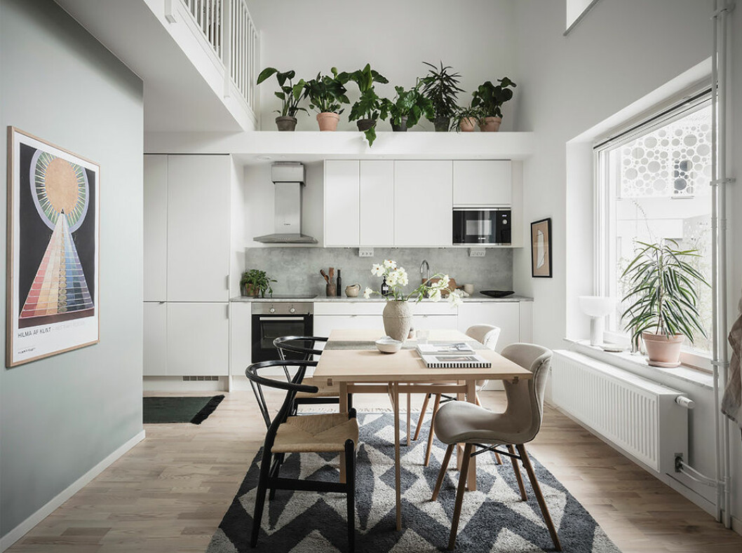 Glöm inte att inreda både högt och lågt i hemmet! Foto: Anders Bergstedt Styling: Nouvel Interior för <a href="https://www.instagram.com/entrancemakleri/?hl=sv" target="_blank" rel="noopener">Entrance</a>/mäklare: Erika Bergholm Vitt modernt kök med gröna växter