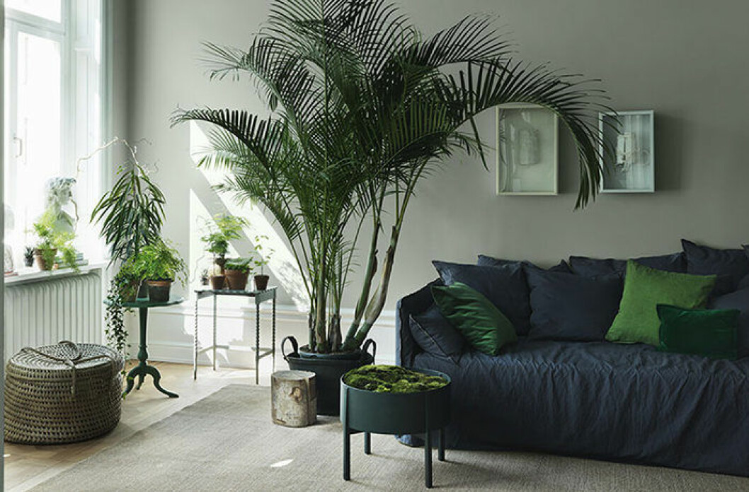 Foto: <a href="http://www.alcro.se/Inomhus/Kollektioner/ad16/Grona-drommar/#5" target="_blank" rel="noopener">Alcro</a> inredgrönt
