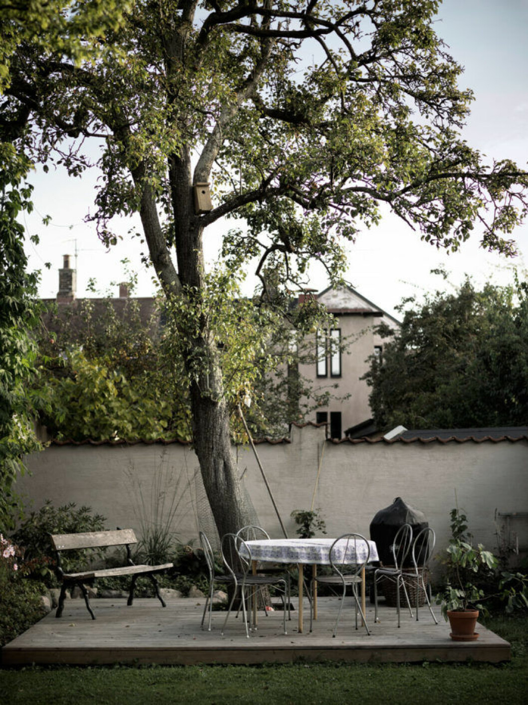 Syns i: <a href="https://www.elle.se/decoration/arbetarbostad-blev-pittoresk-utopi-med-magisk-veranda/">”Arbetarbostaden som blev en riktig inredningsdröm”</a>. Foto: Petra Bindel . Uteplats på enkelt trädäck under stort, vackert träd