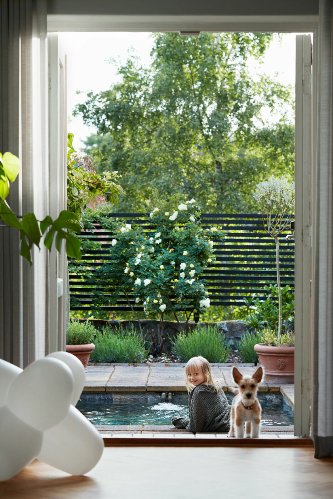 Liten pool