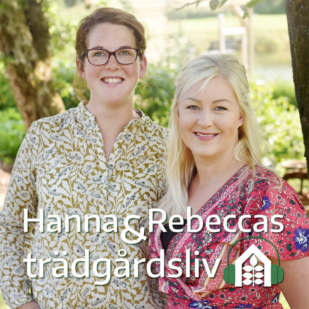 Hanna & Rebeccas trädgårdsliv