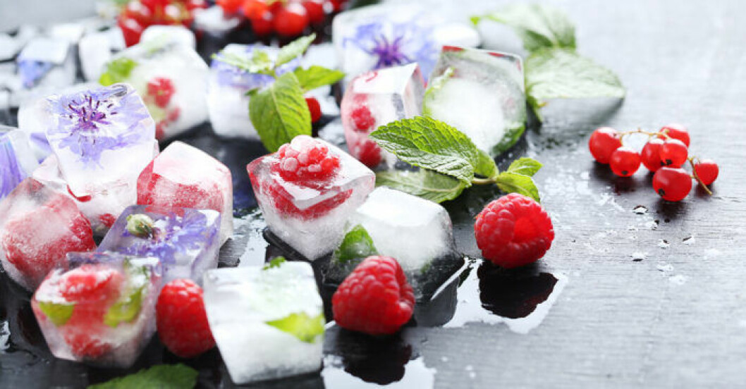 Isbitar med blommor, bär och örter. Foto: Shutterstock Isbitar med blommor, bär och örter.