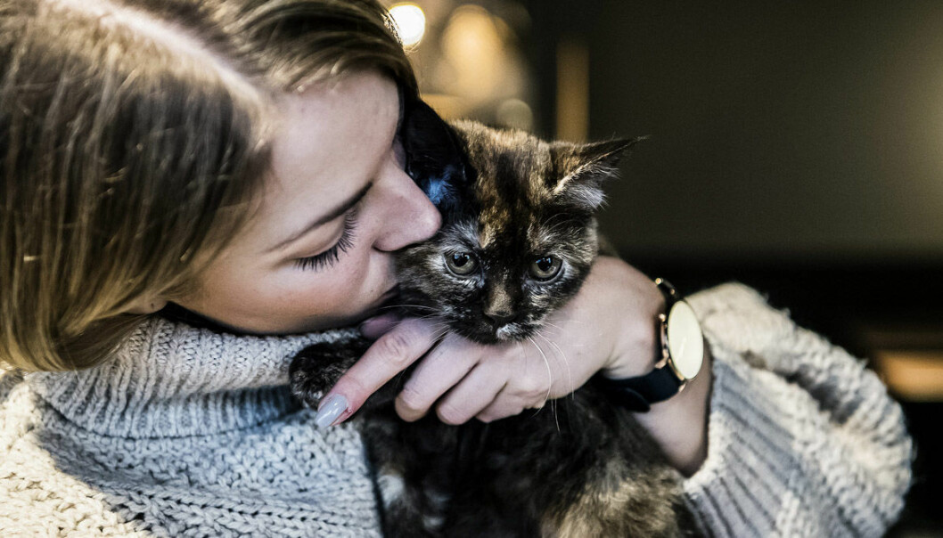 Elina Thorsell gosar med katt