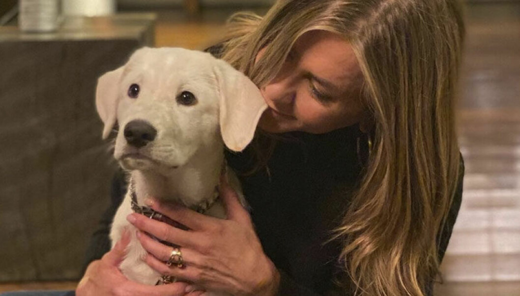 Jennifer Aniston med sin hund