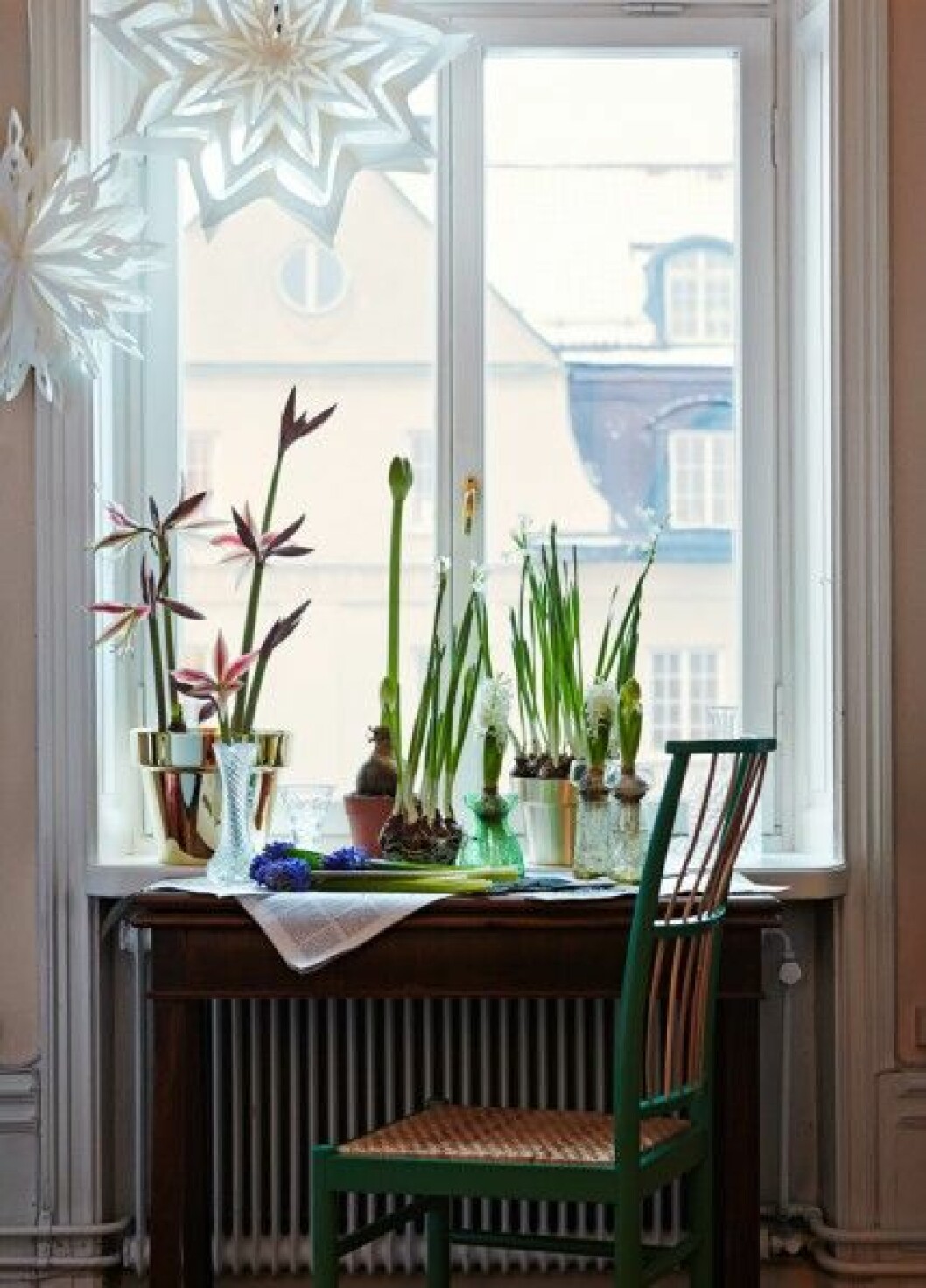 <strong>Arrangera julblommor</strong><br>Stol <em>2025</em>, design Josef Frank, 10 300 kr, Svenskt Tenn. Blomkrukor i mässing, design Monica Förster, blank 1 596 kr, och matt 798 kr, Skultuna. Hyacintvaser i klarglas <em>Celebrate</em>, ca 429 kr/st, Holmegaard. Grön vas från Myrorna, bordet och övriga vaser är antikfynd. Stjärnor från Watt & Veke. Julblommor-inspiration-amaryllis-julstjarnor