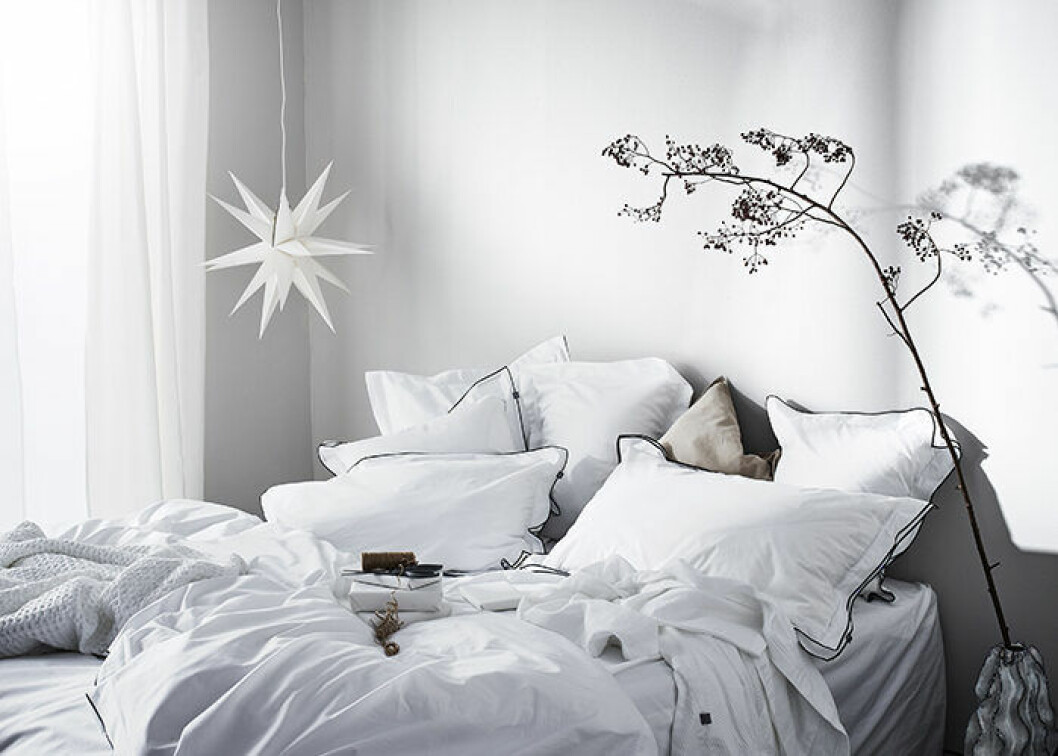 Den trendiga julstjärnan kan hänga kvar efter jul. Foto: Jotex Moraviastjärnan i vitt hos Jotex – snyggt i jul och i vinter.
