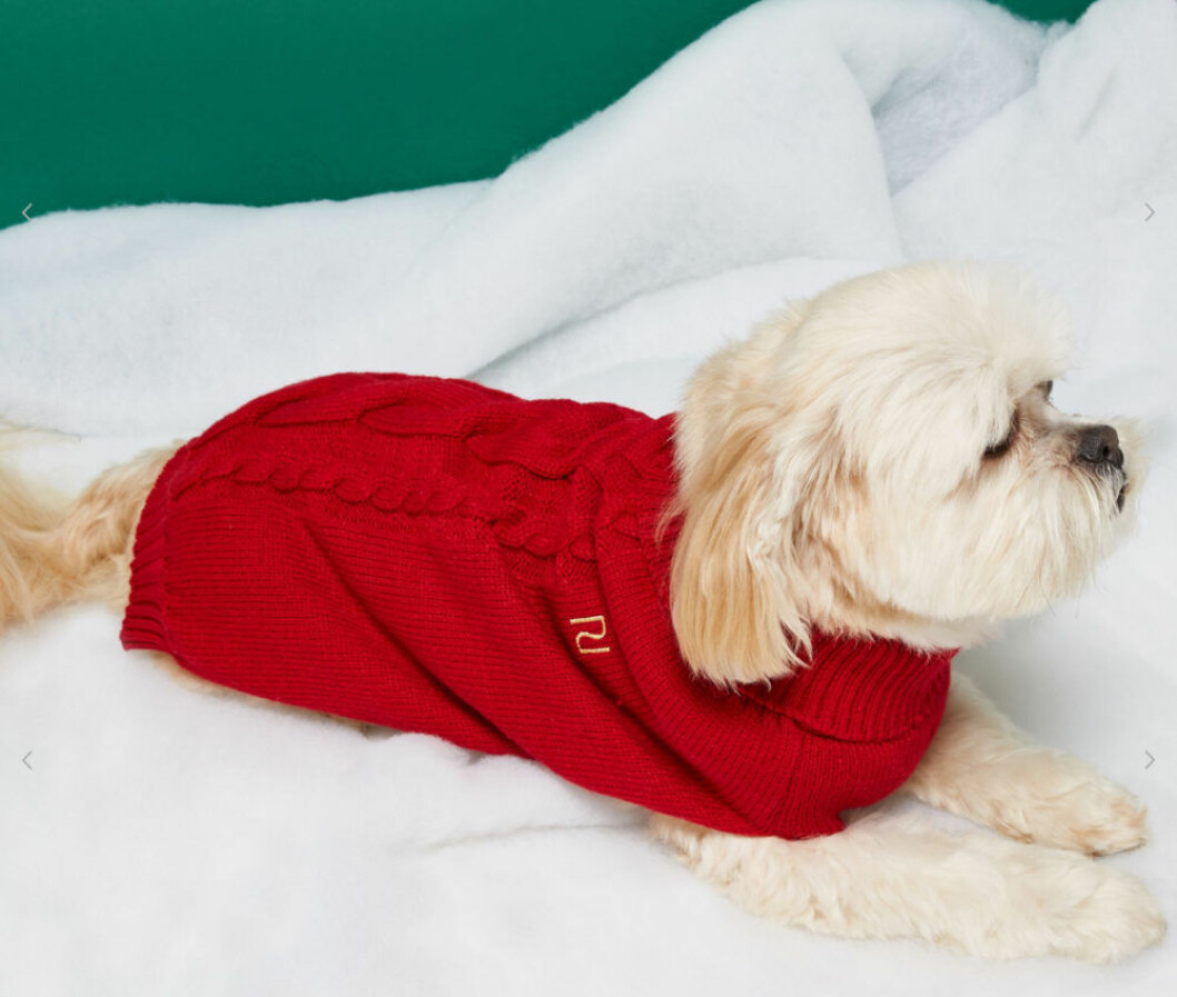kläder jul hund